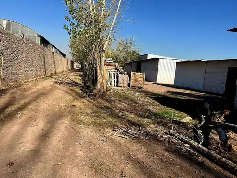 Galpon en Alquiler 21 años