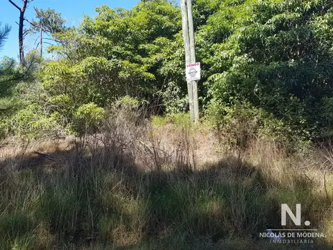 Terreno en Punta Ballena, Portezuelo Bosque