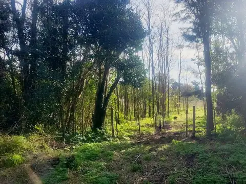 VENTA Chacra de 1 HA Mercedes