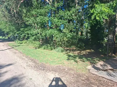 Piedra Buena y Mixto