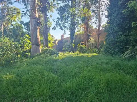 Terreno en Venta de 370,0 m2