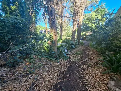 Terreno en Venta en Mar del Plata, USD 30.000