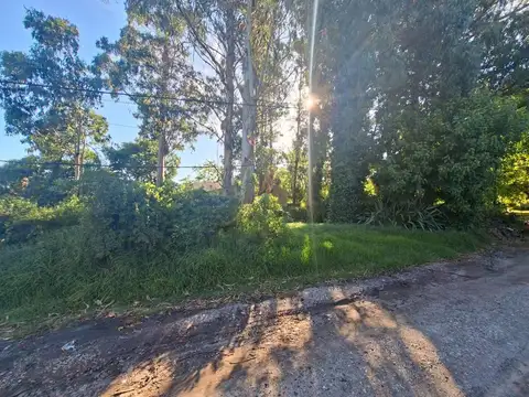 Piedra Buena y Mixto