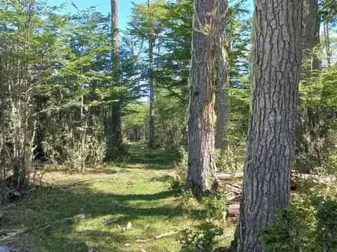 Terreno en Venta de 21654,0 m2