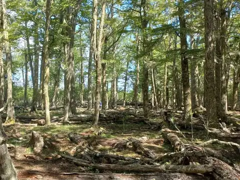 Terreno en Venta de 21654,0 m2