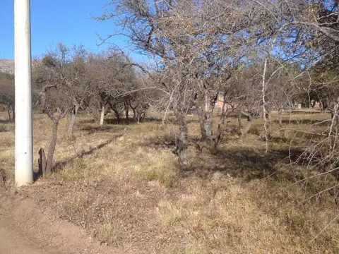 Terreno en Venta en Cortaderas, USD 35.000