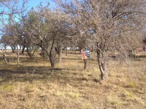 Lote de 2.500 mts en Cortaderas con escritura