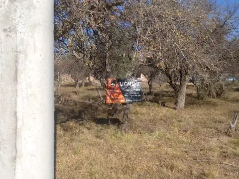 Lote de 2.500 mts en Cortaderas con escritura