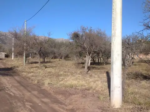 Terreno en Venta de 2500,0 m2