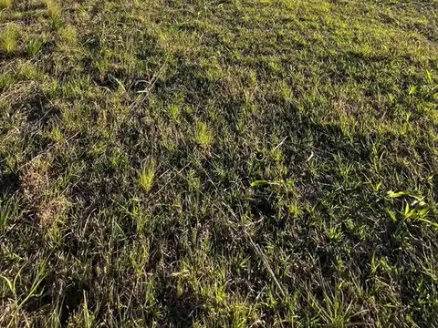 Terreno en Venta de 432,0 m2