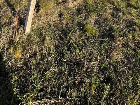 VENTA DE LOTE CENTRAL EN TRES GRACIAS. ALTA GRACIA