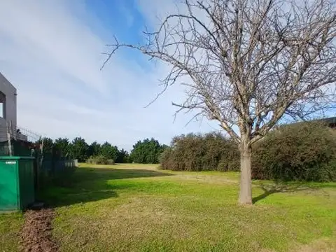 Terreno en Venta 20  mts Frente