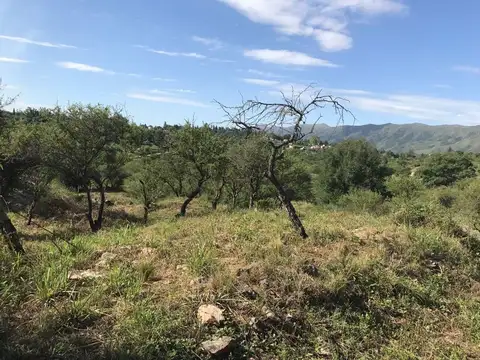 VENTA FRACCION PARQUE SIQUIMAN CON BAJADA AL RIO
