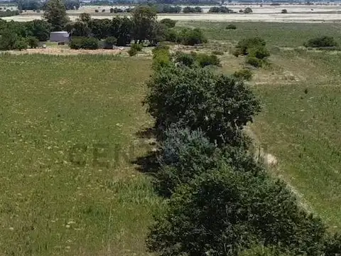 CAMPO MIXTO EN VENTA EN BAVIO - MAGDALENA