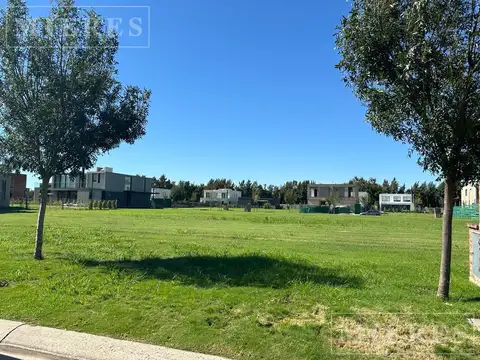 Lote Interno en Venta en Carpinchos, Nordelta.
