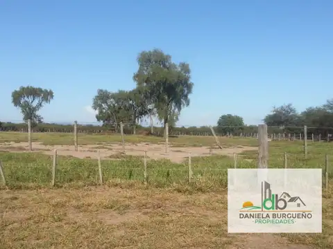 Campo en Venta de 450  ha