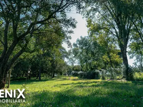 Terreno en Venta de 300,0 m2