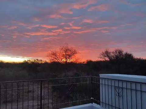 Campo sobre ruta 28, a 6,3 km de Ruta 1; 17,5 Has c/casa