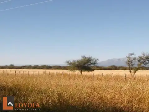 Campo en venta de 256 Hectáreas en Ruta 148 Luyaba, Cordoba