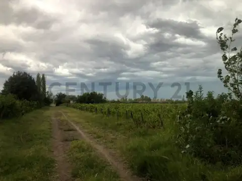 Tierra del Fuego , Piso 0