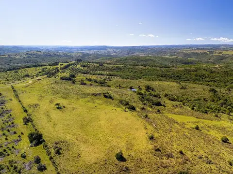 Venta campo ganadero forestal Maldonado Lavalleja
