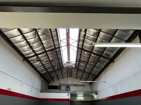 Mariano Pelliza 1600