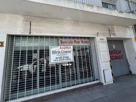 Mariano Pelliza 1600