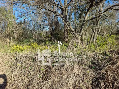 Islas Del Ibicuy Nª 9