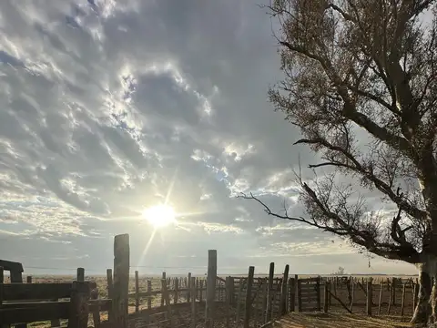Campo en Las Bandurrias