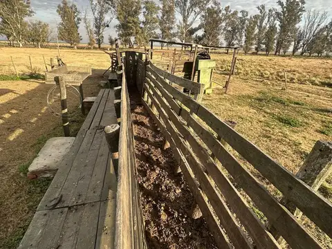Campo en Las Bandurrias