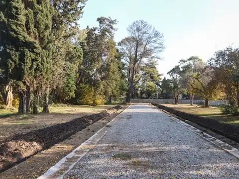 Terreno en Venta de 220,0 m2