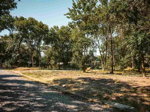 Lisandro de la Torre y Echague 100