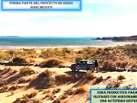 Terreno en Venta de 50000,0 m2