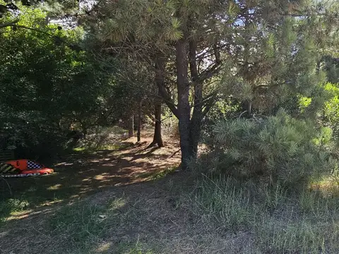 Terreno en Venta de 2028,0 m2