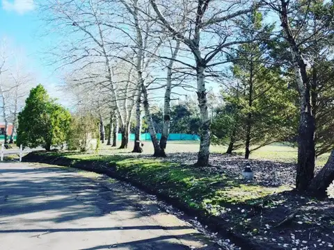 Terreno en Venta 20  mts Frente