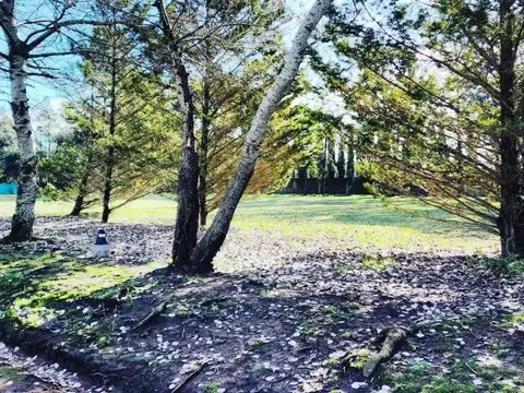 B. Cerrado Lomas de San Antonio