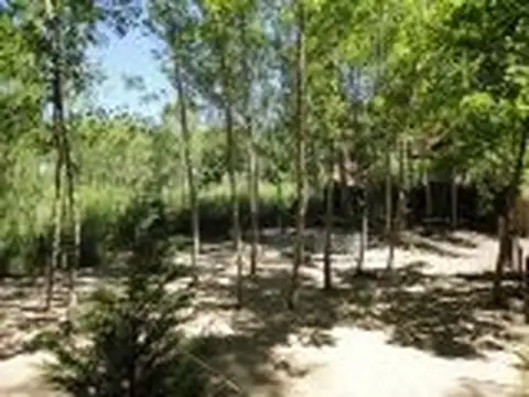 42 e/punta del este y copacabana