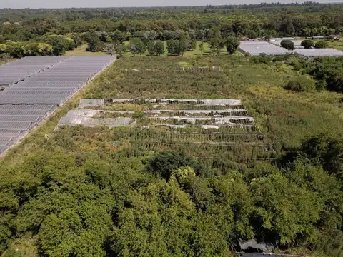 Venta Hectáreas en Villa Elisa