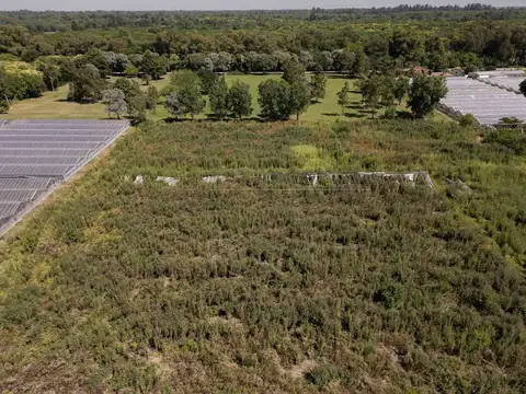 Calle 407 & Calle 12