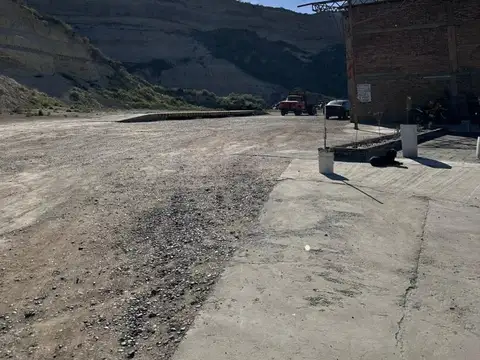 Bartolo Luis Pasin 100