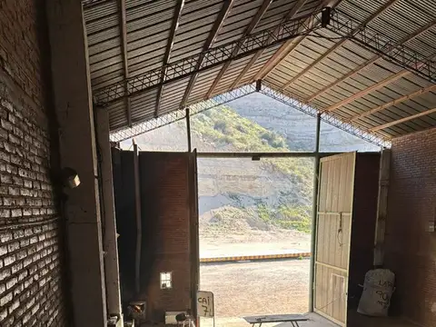 Bartolo Luis Pasin 100