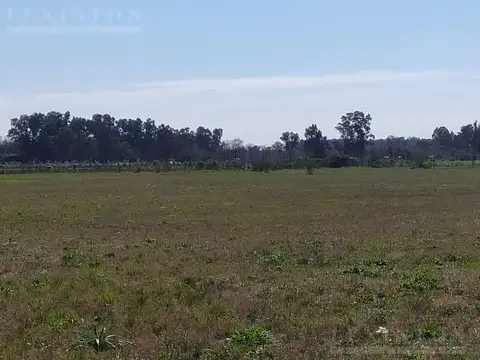 Terreno en Venta de 100000,0 m2