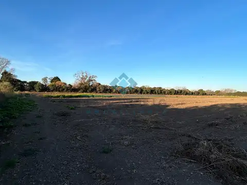 Quinta en Venta 2024 años