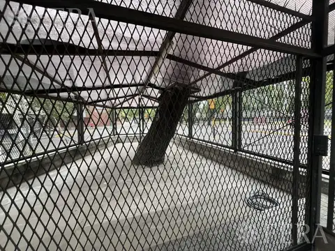 Local en Alquiler 11 años