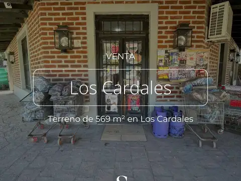 CASA O LOCAL EN VENTA, BARRIO ABIERTO SAN JOSE DE TALA, LOS CARDALES
