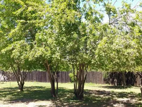 JUAN JOSE CASTRO 700