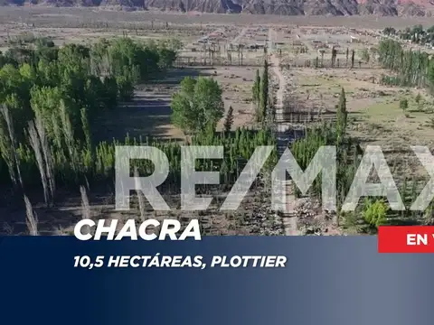 VENTA CHACRA 10,5 HECTAREAS - PLOTTIER.