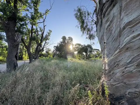 Lotes en Venta en Cruce Castelar/Trujui, Moreno