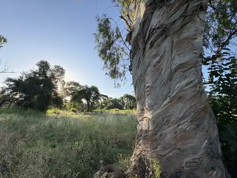 Terreno en Venta de 308,0 m2