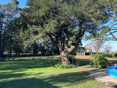 Quinta en Alquiler A Estrenar